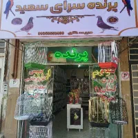 تابلو ال ای دی