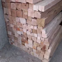 هر چی میخوای  داریم