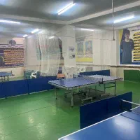 باشگاه پینگ پنگ ( تنیس روی میز )