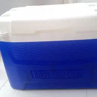 کلمن