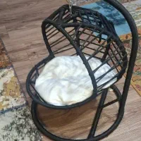 تاب ریلکسی سگ و گربه