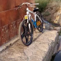 دوچرخه 24سند دار