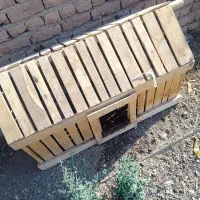 قفس  برا جوجه