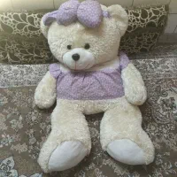 خرس تدی