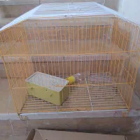 قفس پرنده