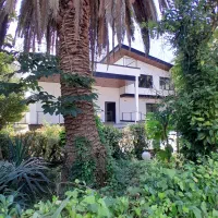 ویلا باغ 1200متری /سند تک برگ