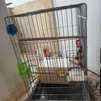 یک قفس بزرگ