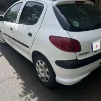 ۲۰۶ بی رنگ،سالم با امکانات