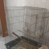 قفس بزرگ ۱۰ ۳۲