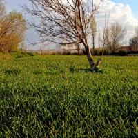 اجاره ساعتی وروزانه خانه ویلایی درحصار