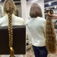موهای طبیعی را بدون واسطه خرید میکنیم