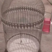 قفس پرنده