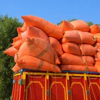 یونجه|خدمات باغبانی و درختکاری|یاسوج, |دیوار