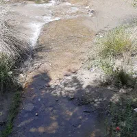 ویلا-باغ-اجاره-ای