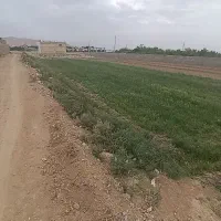 زمین کشاورزی متراژ 890متر