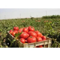 کار