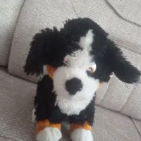 یک عدد اسباب بازی بچگانه سگ