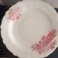 بشقاب و نو با کارتن ۶نفره