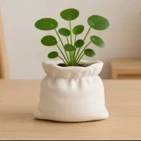 خاص ترین گلدان ها