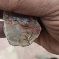 سنگهای شجر دنده ریتی کلکسیونی