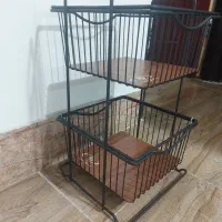 جا پیازی