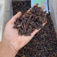 کشمش آفتابی /آبگیری کاشمر درجه یک (ارسال از کاشمر)