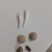 سنگ مهره رزق روزی