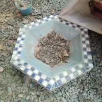 ۴ عدد حوض کوچک کاشی