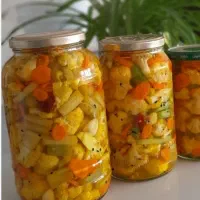 ترشی مخلوط .سبزی قورمه