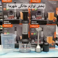 گوشت کوب برقی 3کاره هیلی 1200وات HALEY خردکن همزن