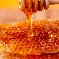 فروش انواع عسل طبیعی با خواص درمانی