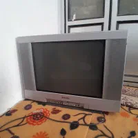 تلویزیون