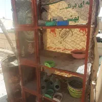 قفس جفتی۴طبقه نونو