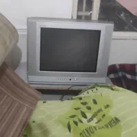 تلوزیون