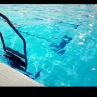 بلیط استخر صدف
