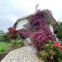 سوییت اجاره روزانه