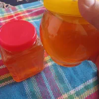 عسل صدرصد طبیعی کرمانشاه بشرط آزمایشگاه
