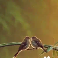 لباس کهنه کیف کفش مانتو خود را پرت ندهید