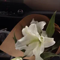 عکاسی ادمینی /ادیت/تولید محتوا//