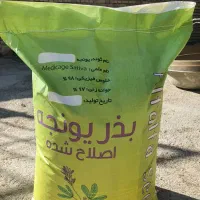 پخش عمده بذر یونجه و بذر ذرت در نیشابور