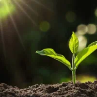 پاکی با ما