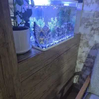 آکواریوم شرکتی