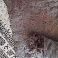 مقداری پشم