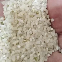 برنج نیم‌دانه کامفیروزی