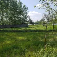 زمین-باغی-منصور-بیگی