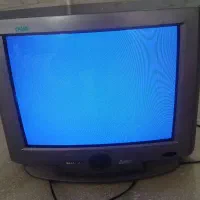 تلوزیون