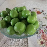 گوجه سبز ،تردوخوشمزه