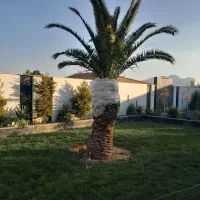 چمن زنی وکاشت ونگهداری درختان
