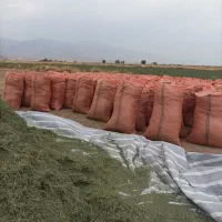یونجه گونی شده درجه یک