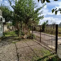 سوییت شیک